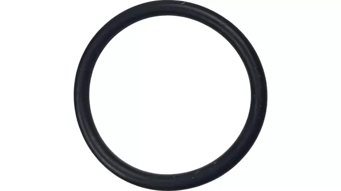 O'ring z Nowy